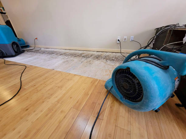 Professional Water Damage Repair technician working in Cheswick, PA
